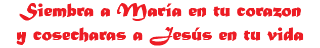 Siembra a María en tu corazon
y cosecharas a Jesús en tu vida